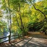 Wissahickon Valley Park