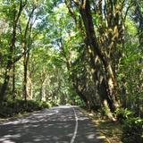 Point Defiance Park