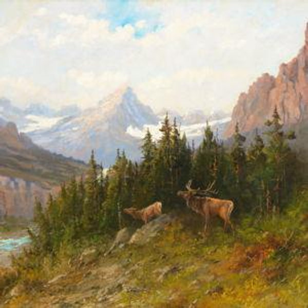 Glacier National Park Honeymoon Fund