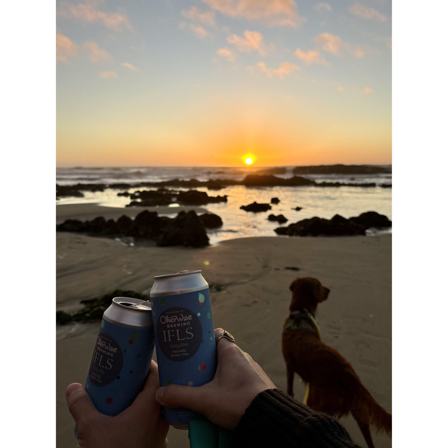 At least once a week, we pick a new beach on Highway 1, pack our yeti cooler, and head to the coast! It's our most favorite way to unwind after a crazy week of grad school.