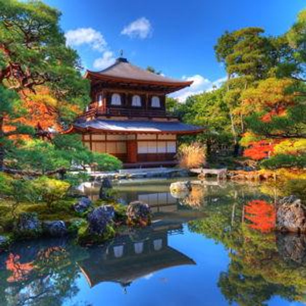 Honeymoon Trip to Japan!