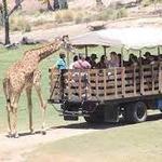 San Diego Zoo Safari Park