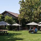 Dry Creek Vineyards
