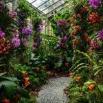 Marie Selby Botanical Gardens