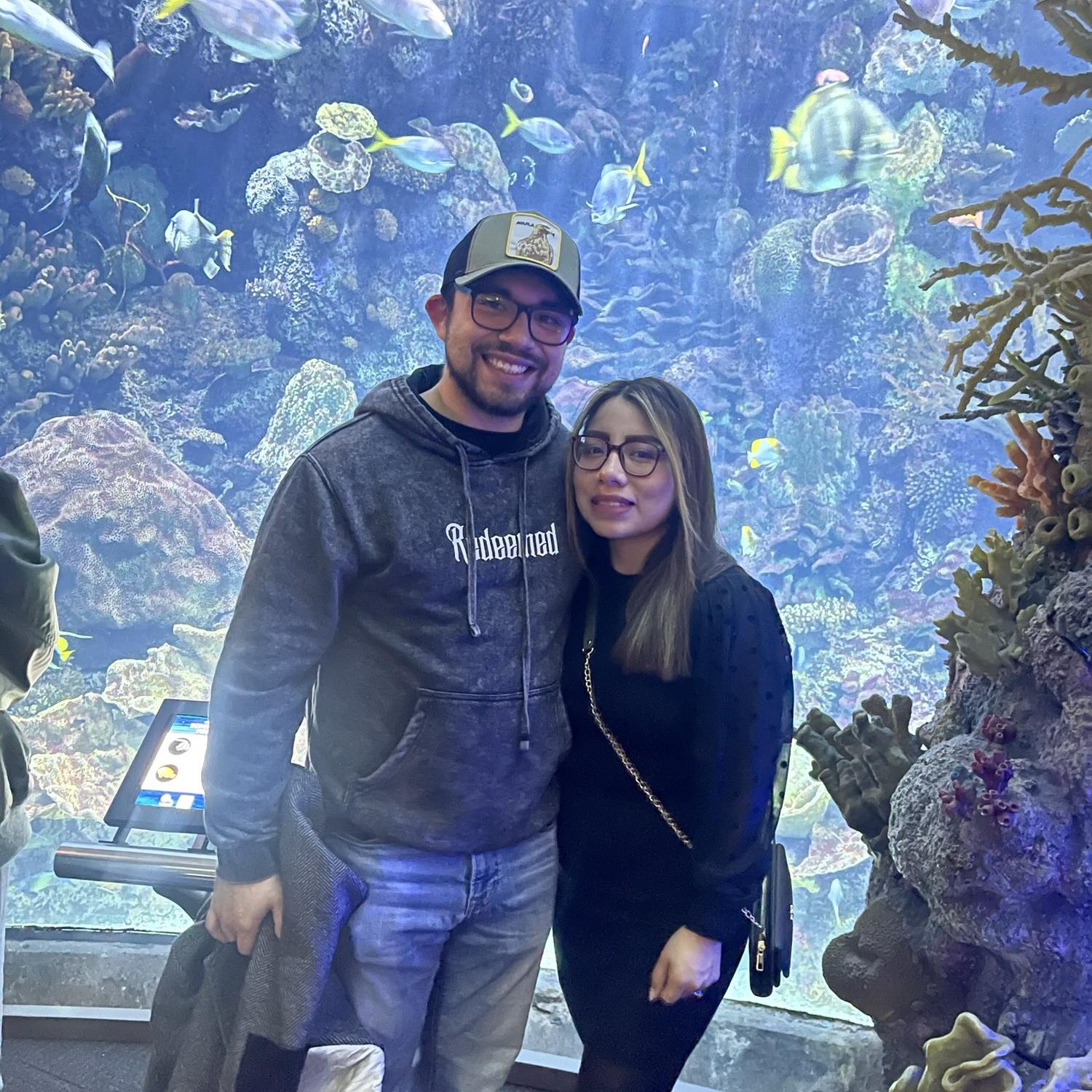 The Aquarium!