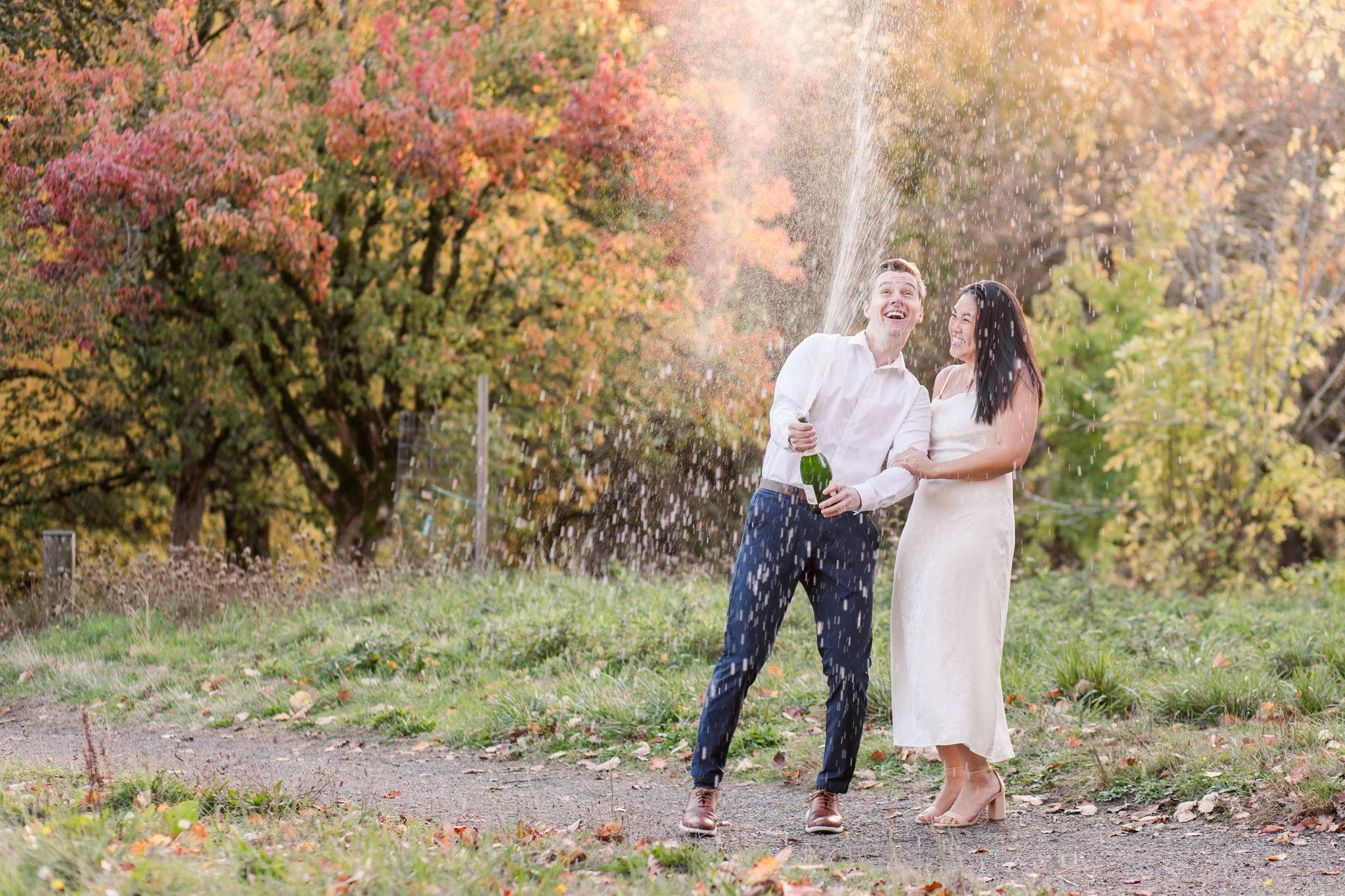 The Wedding Website of Derek Leneve and Audrey Fu