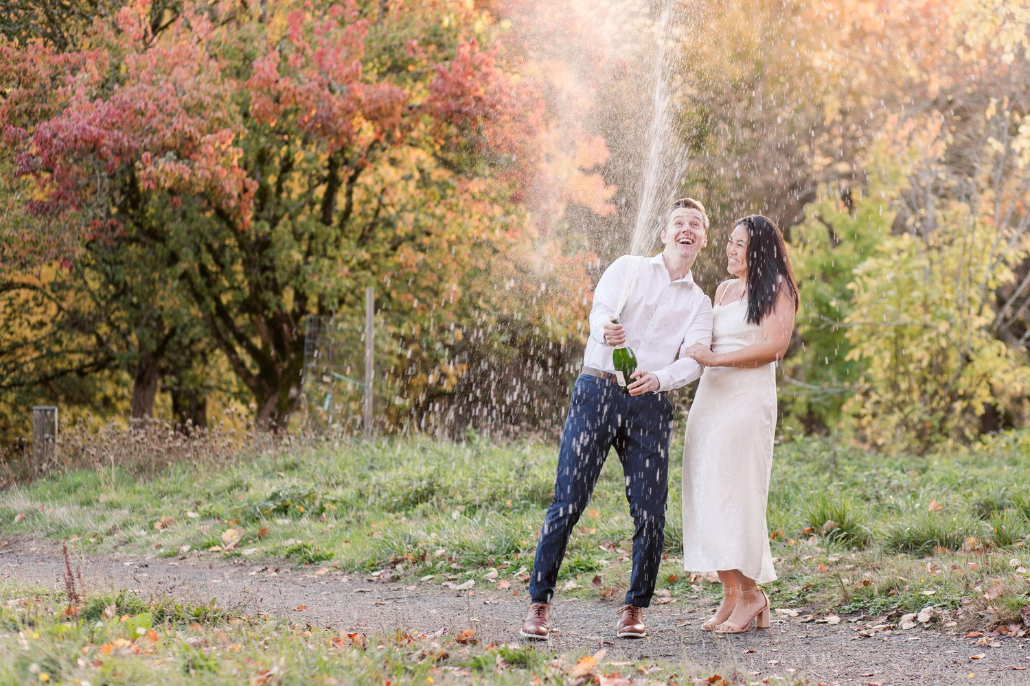 The Wedding Website of Derek Leneve and Audrey Fu