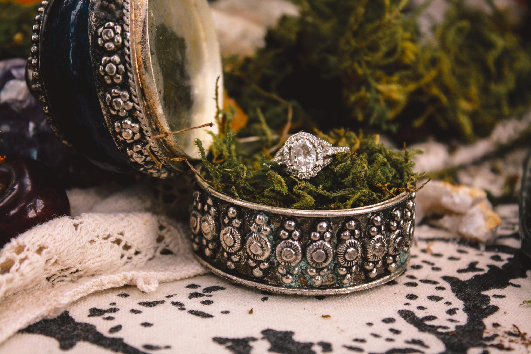 The Wedding Website of Ashley Potter and John Nicolella