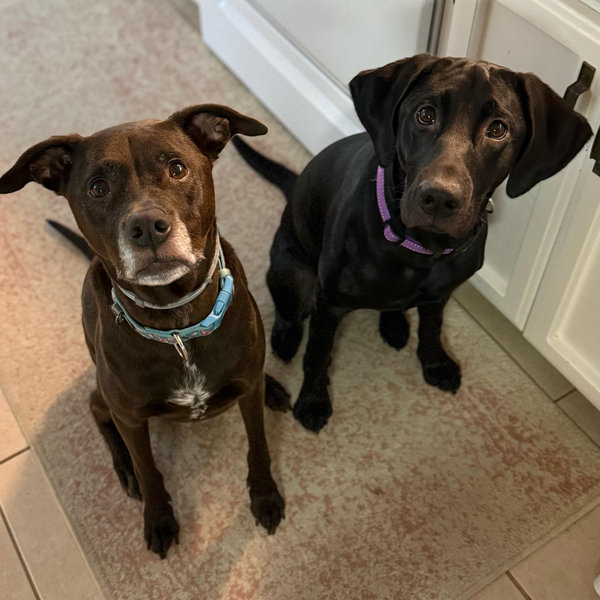 Reese & Katey’s staycation