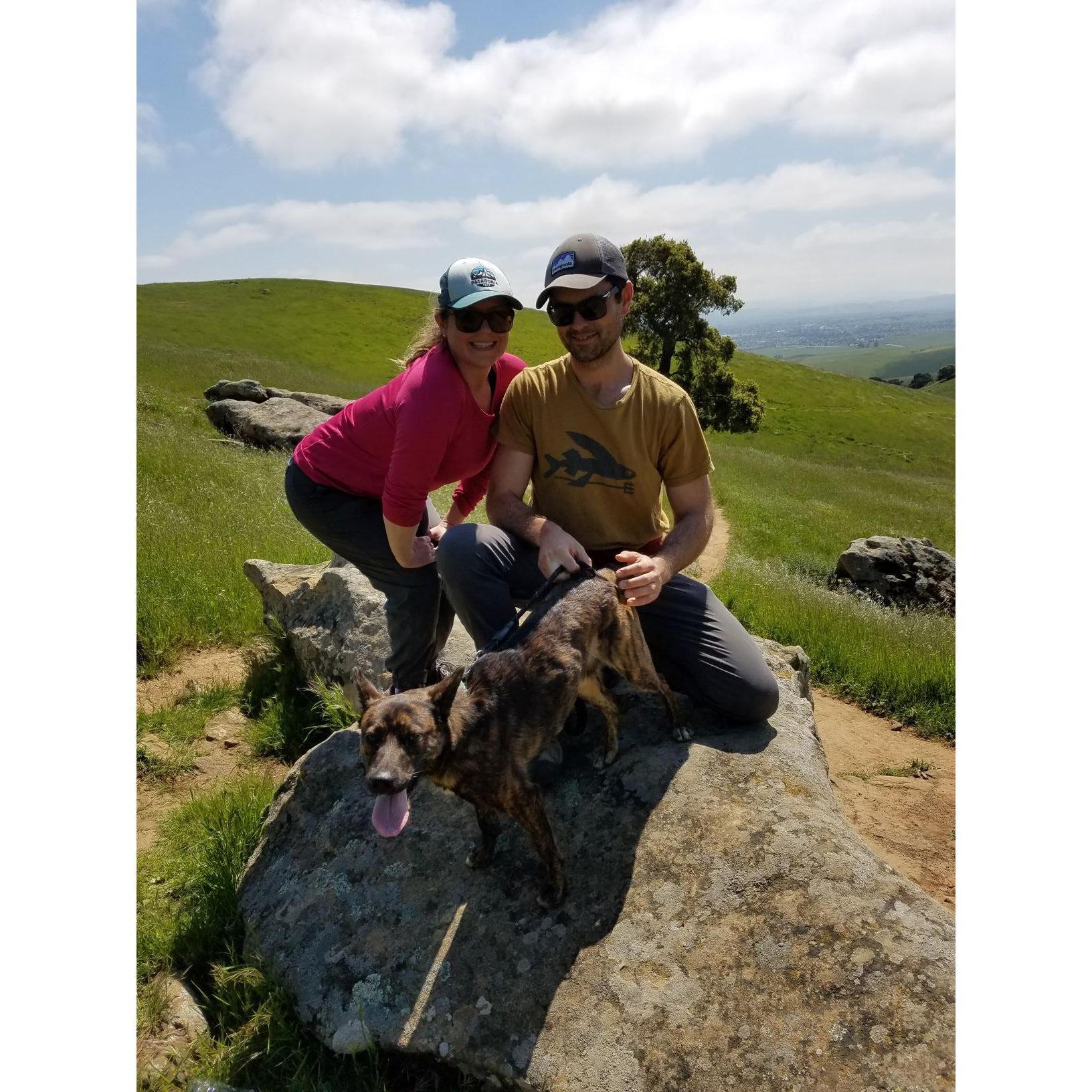 Hiking with Stella