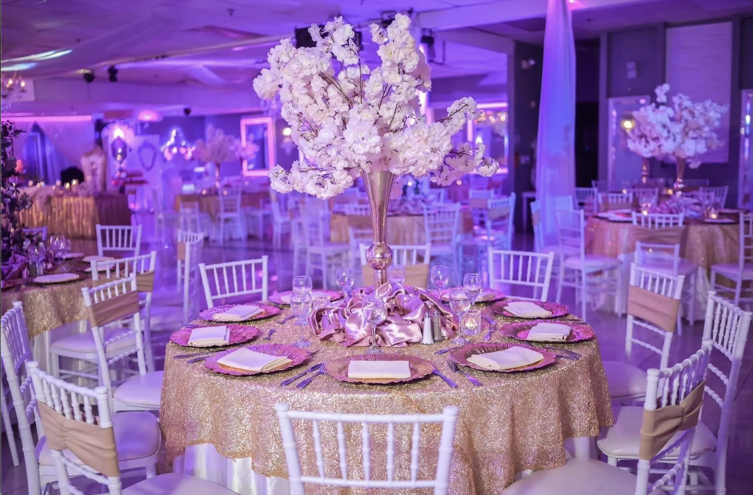 The Wedding Website of Noemi Barajas and Michael Rios