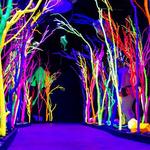 Meow Wolf Santa Fe