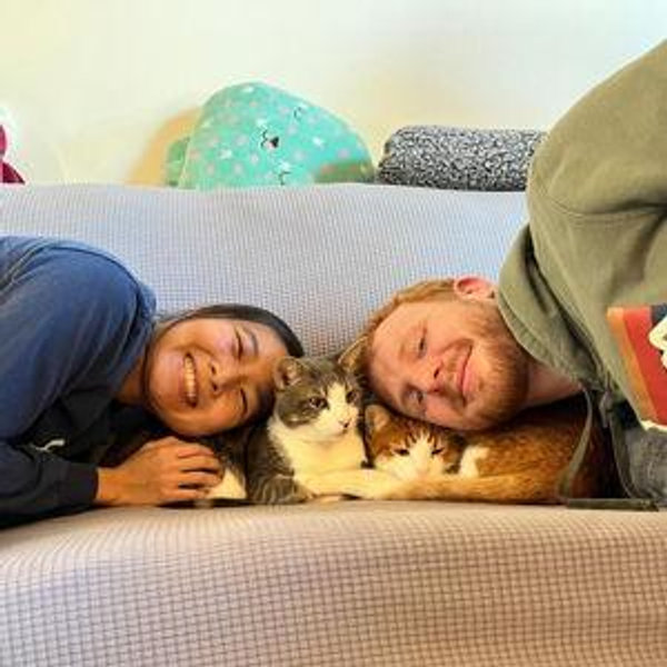 Cat shed