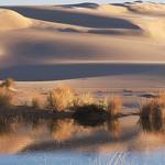 Visit the Oregon Coast