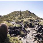 Black Mountain Trail