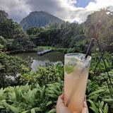 Haleiwa Joe's Haiku Gardens