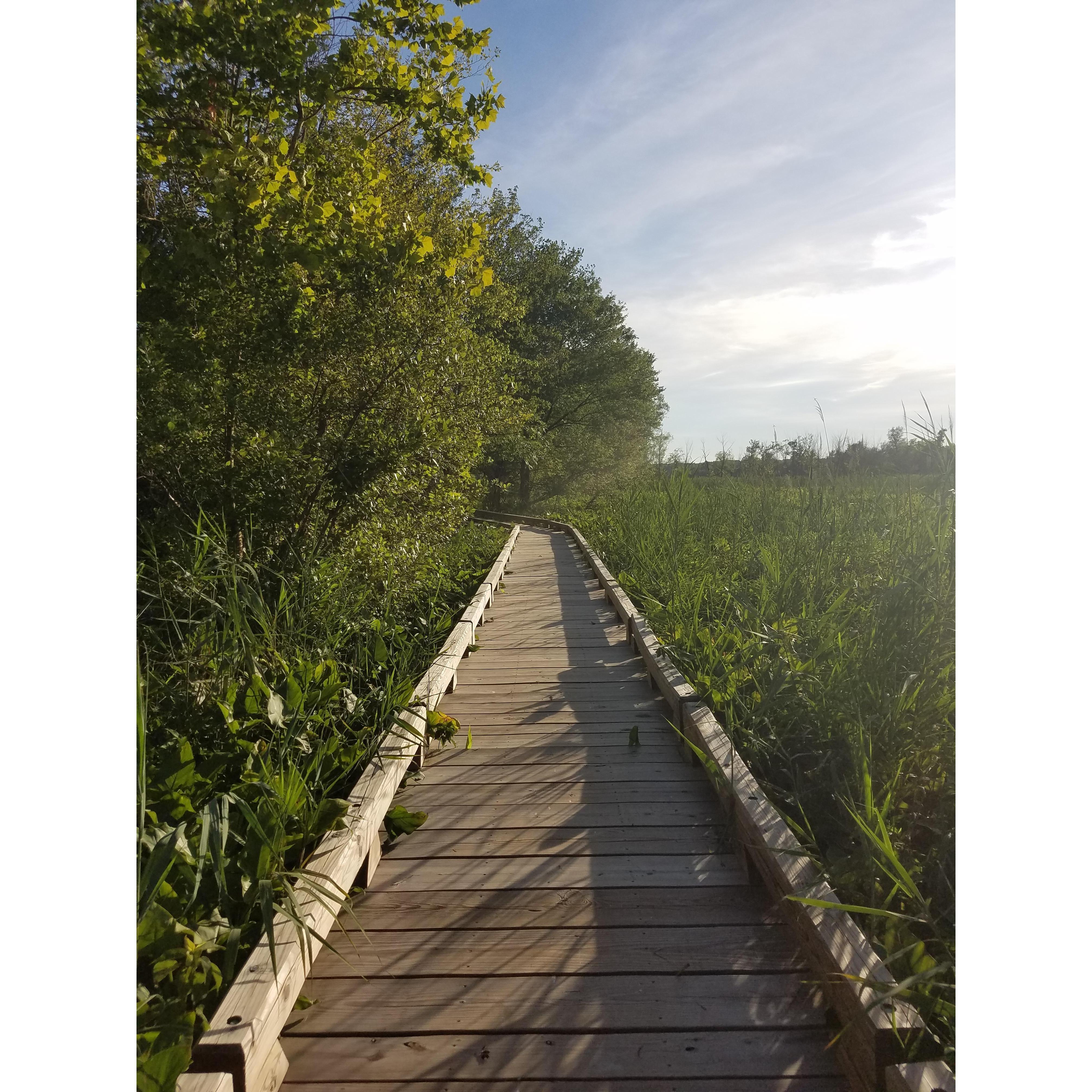 We spent a lot of time on boardwalks and trails. Plenty of memories!