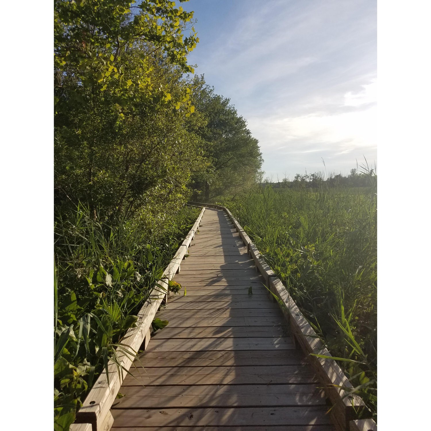 We spent a lot of time on boardwalks and trails. Plenty of memories!