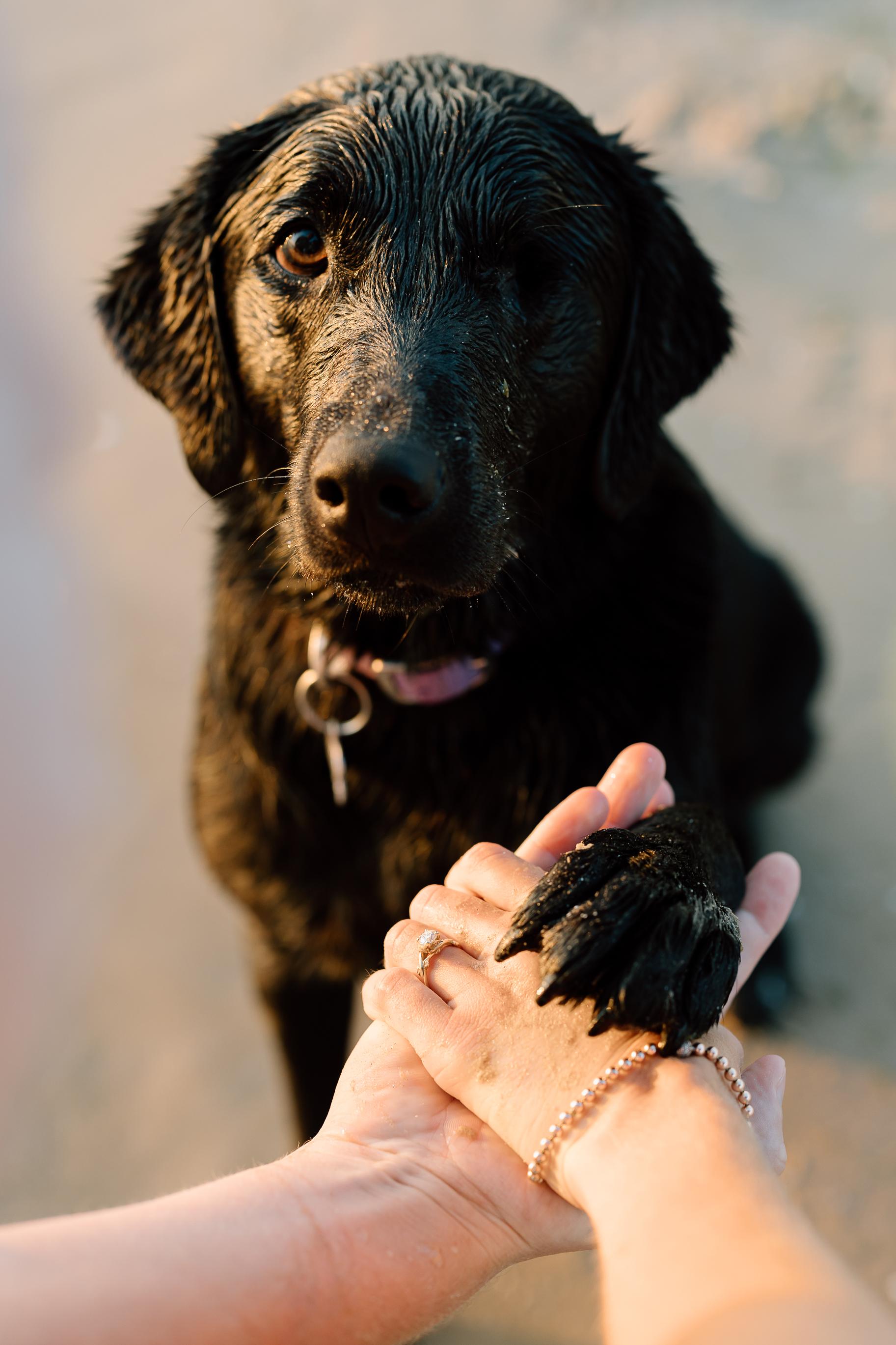 The Wedding Website of Joseph Mccormack and Kristen White