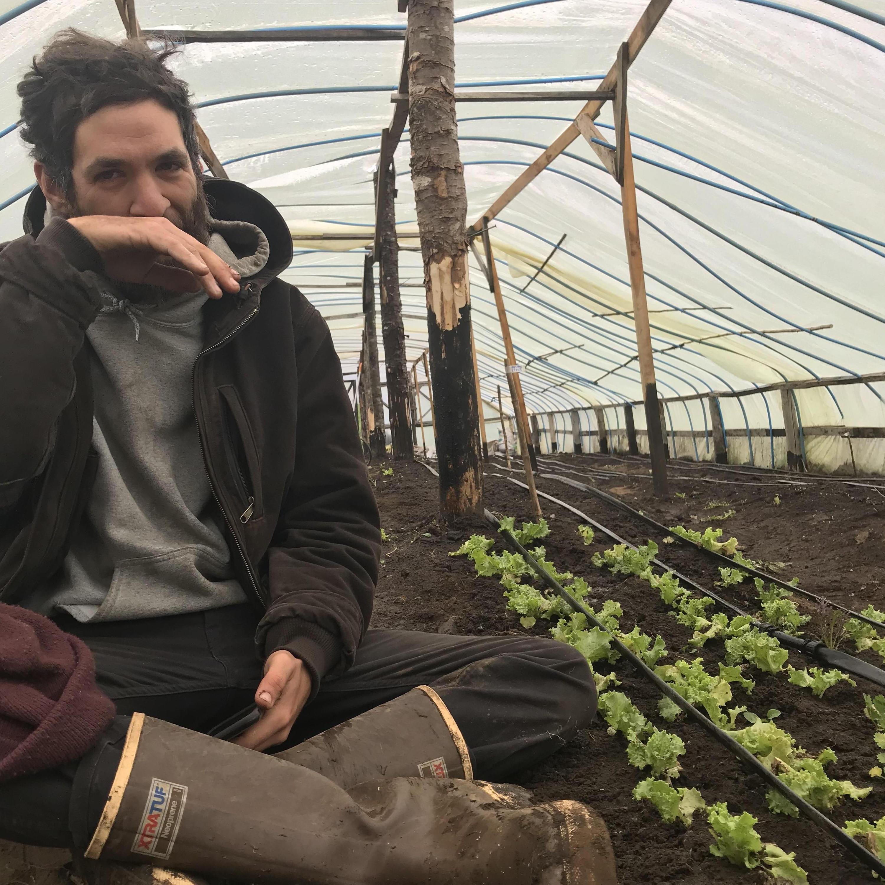 Getting Lizzie's greenhouse going
