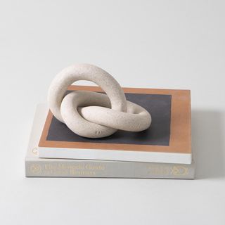 Infinity Knot