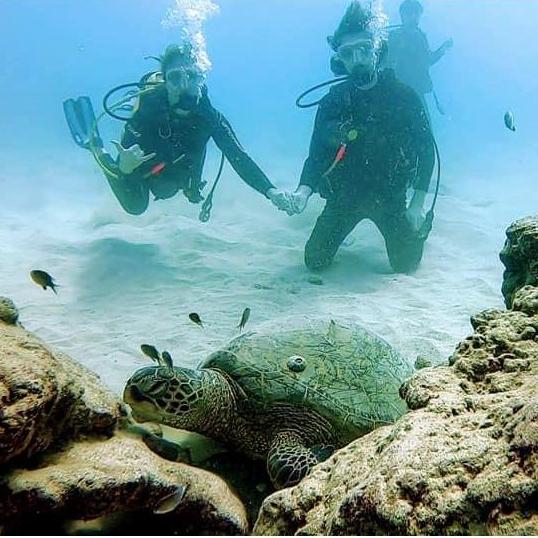 A photo of us and our son off the coast of Waikiki.
