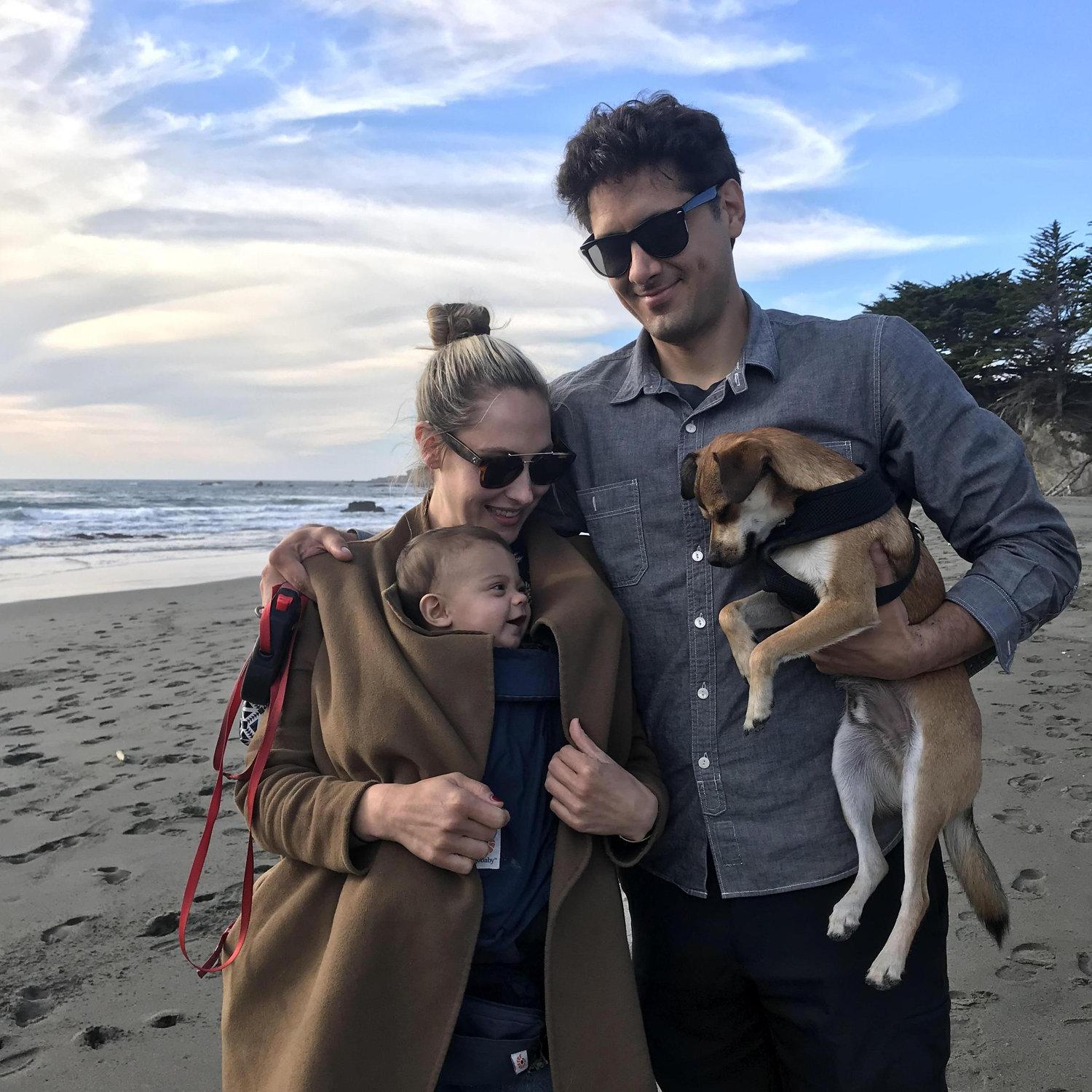 Sea Ranch, 2018