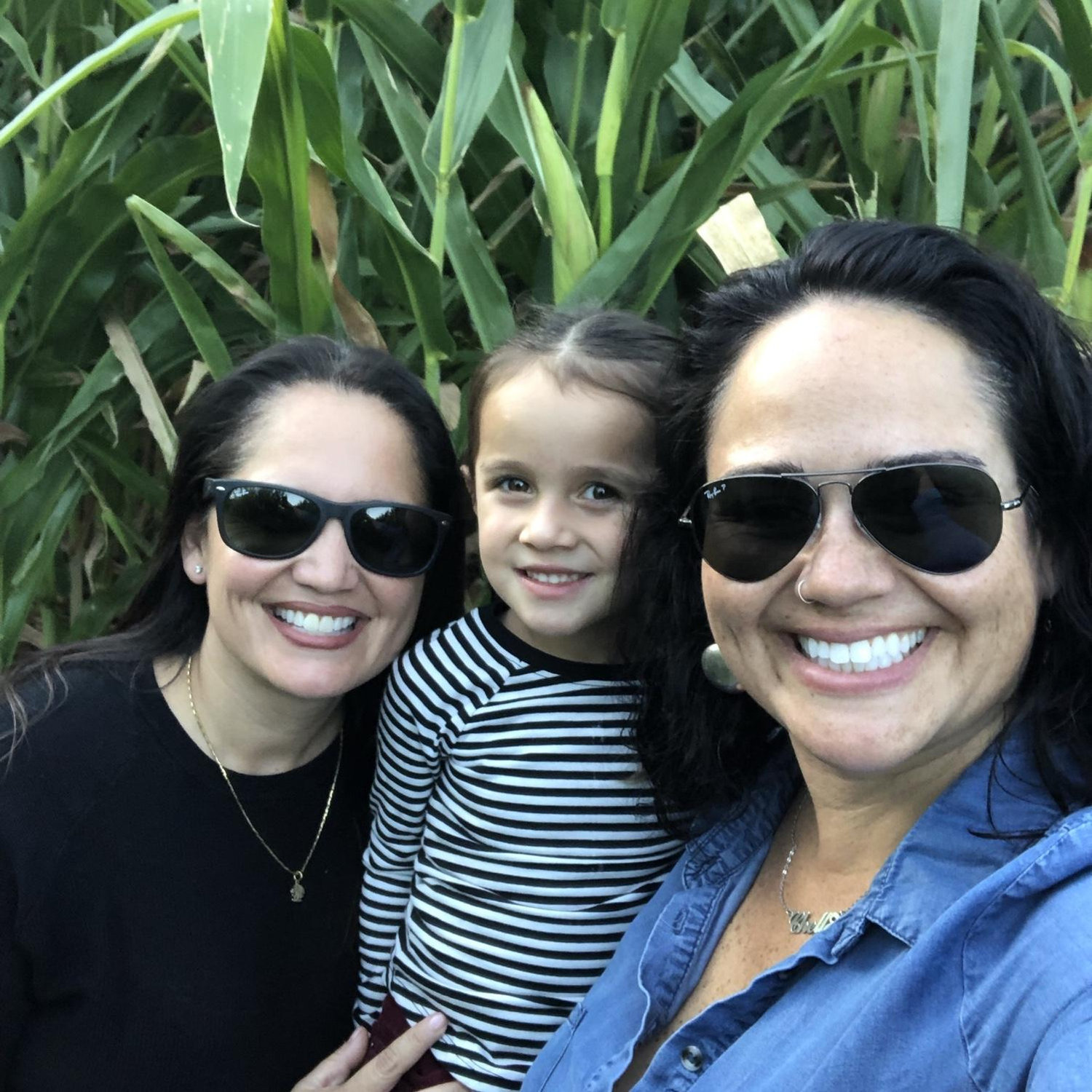 Corn maze