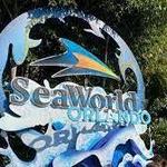 SeaWorld Orlando
