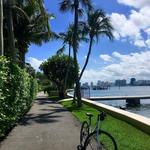 Lake Trail