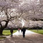 University of Washington