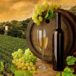 Wine Tasting