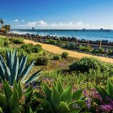 Beach Trail
