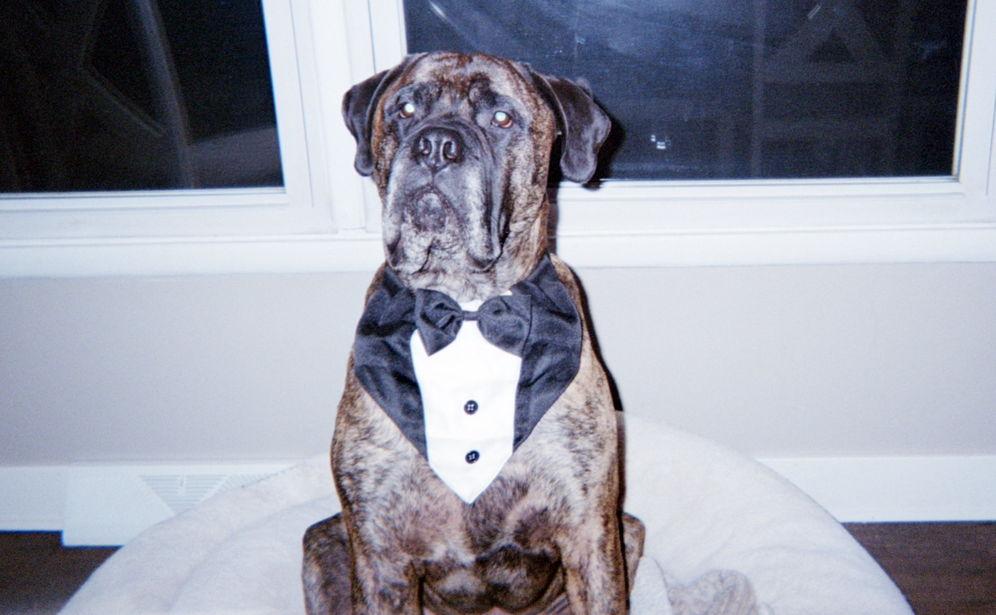 The Wedding Website of Jessi Glow and Mike Miller