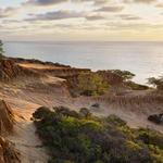 Torrey Pines State Reserve