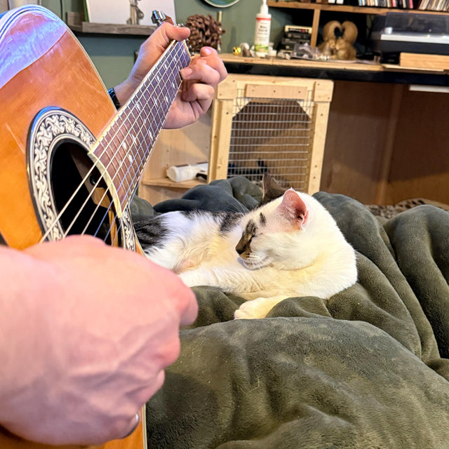 David’s Music Collection