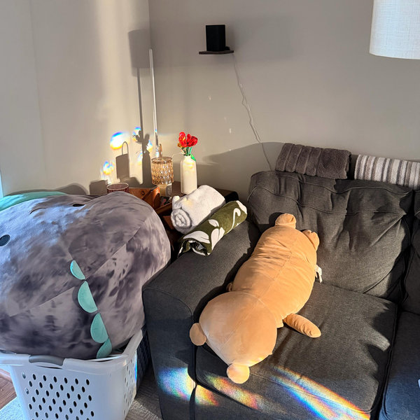 Sofa Couch Fund