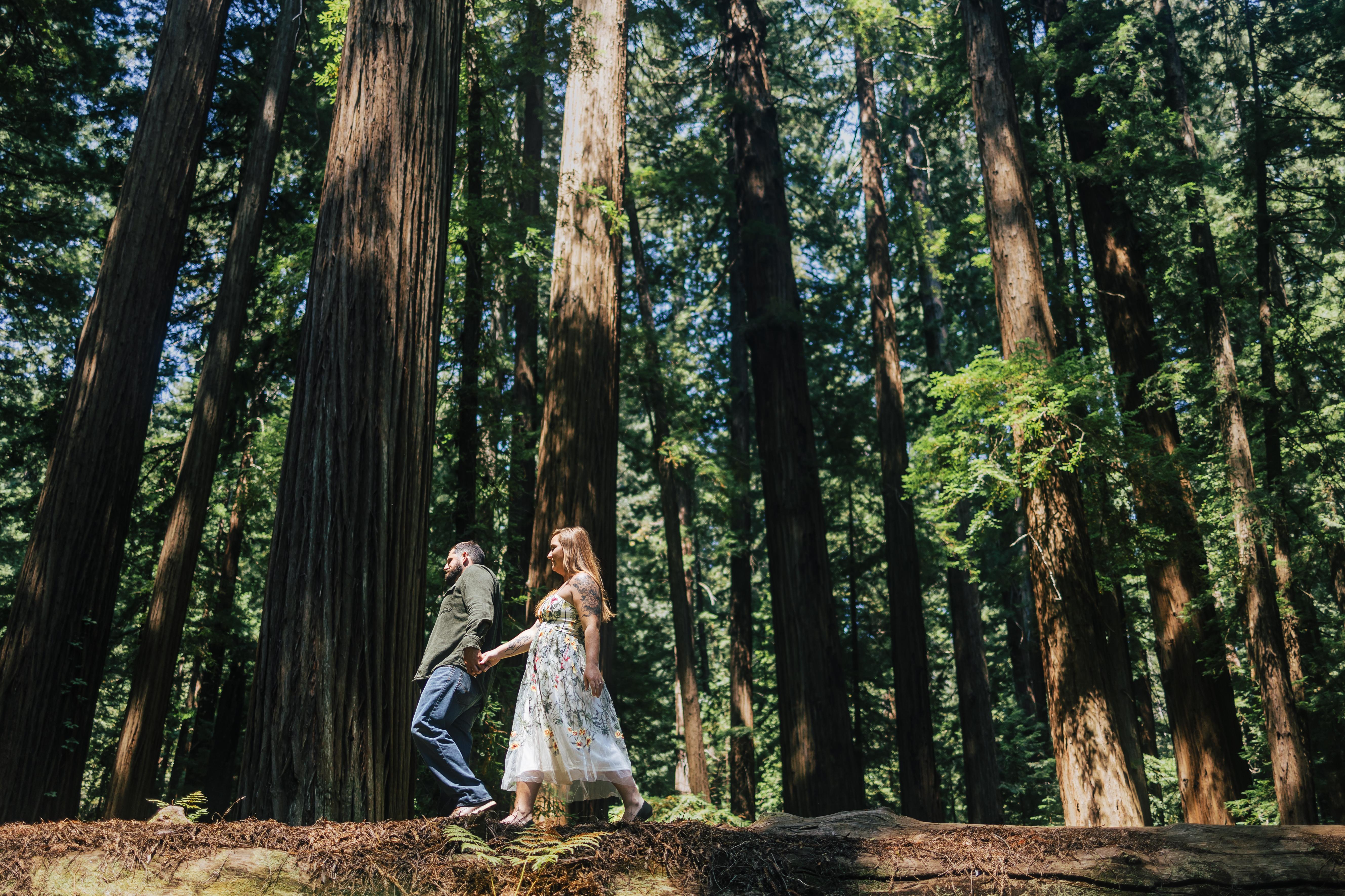 The Wedding Website of Zoie Babb and William Vick