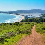 Dispea Trail