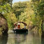 Mayakoba Activities