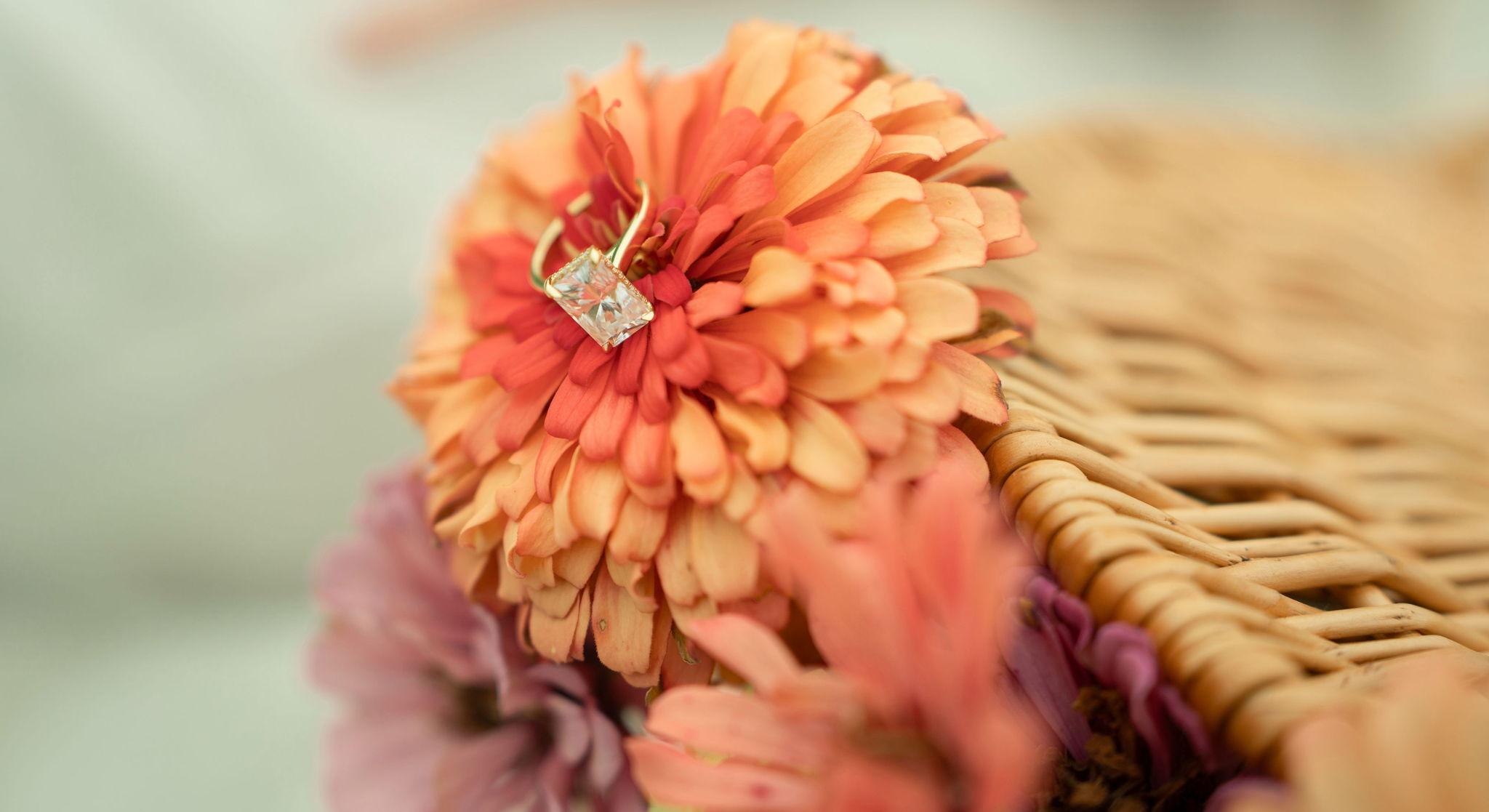 The Wedding Website of Skylar Sloan and Noah Walker