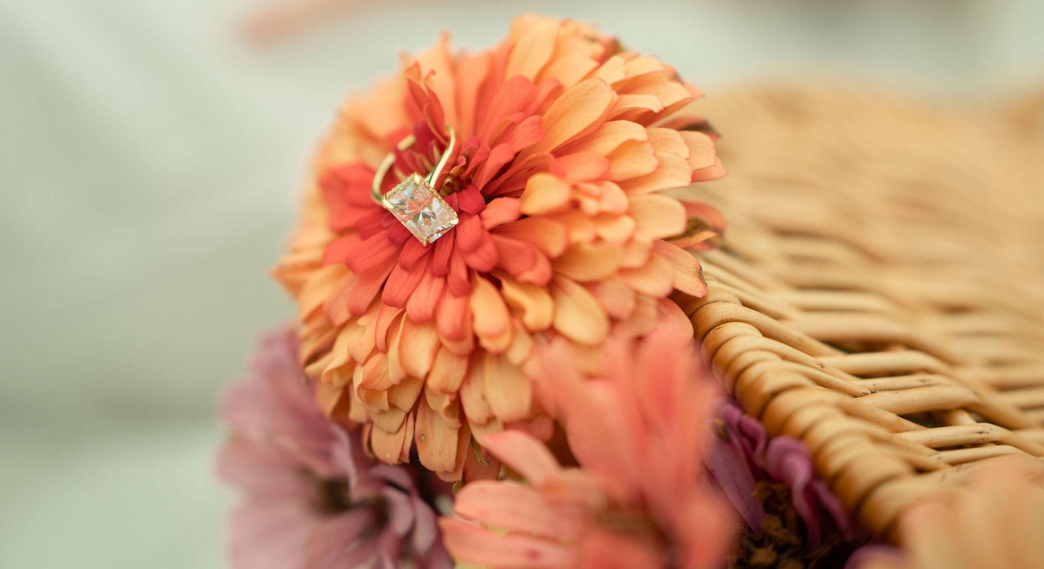The Wedding Website of Skylar Sloan and Noah Walker