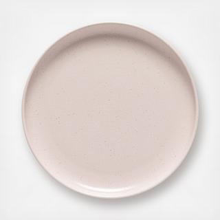 Pacifica Dinner Plate, Set of 2