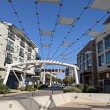 The Domain