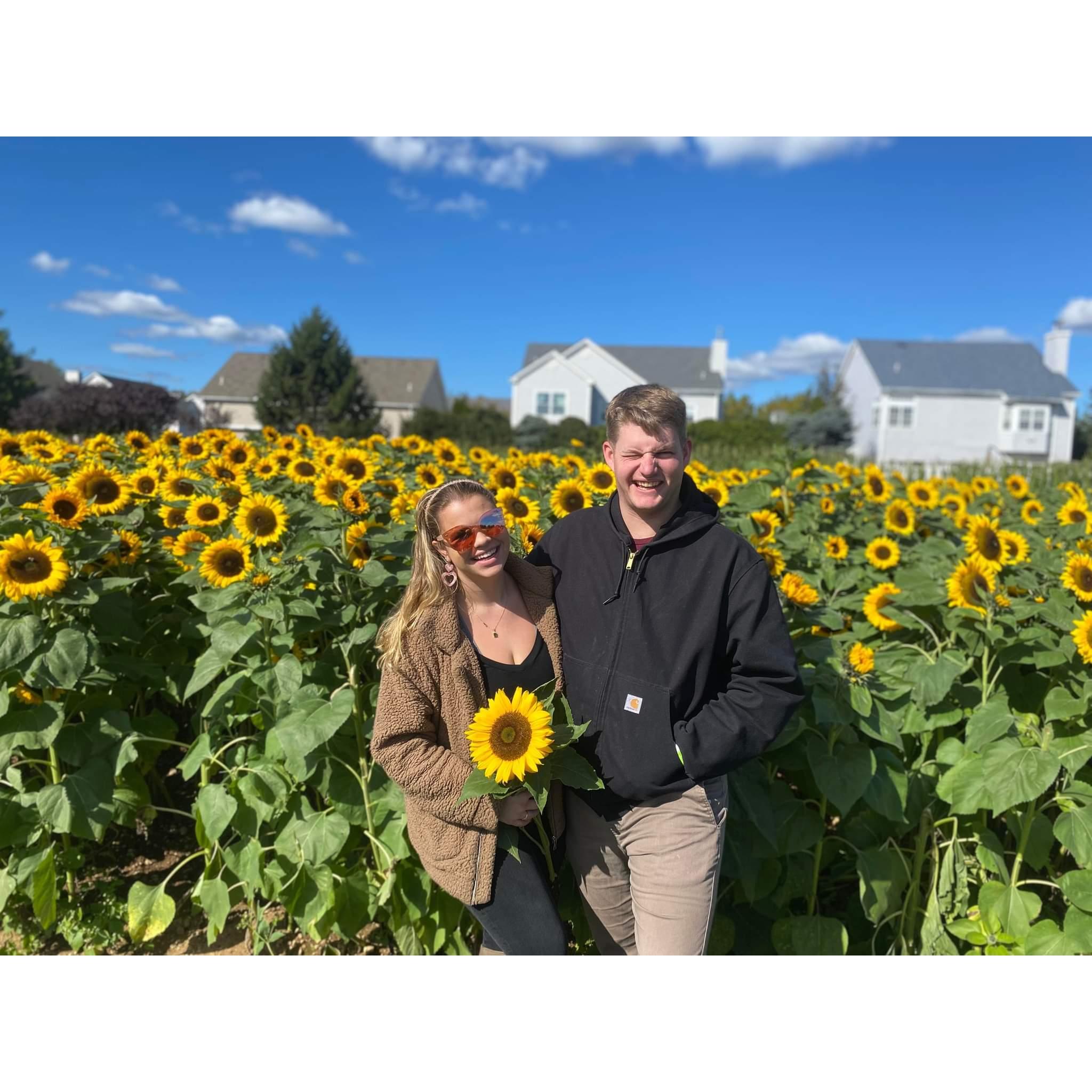 Visiting a Pumpkin and Sunflower Farm
