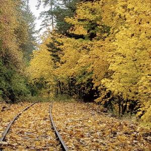 Mount Hood Railroad Scenic Tour
