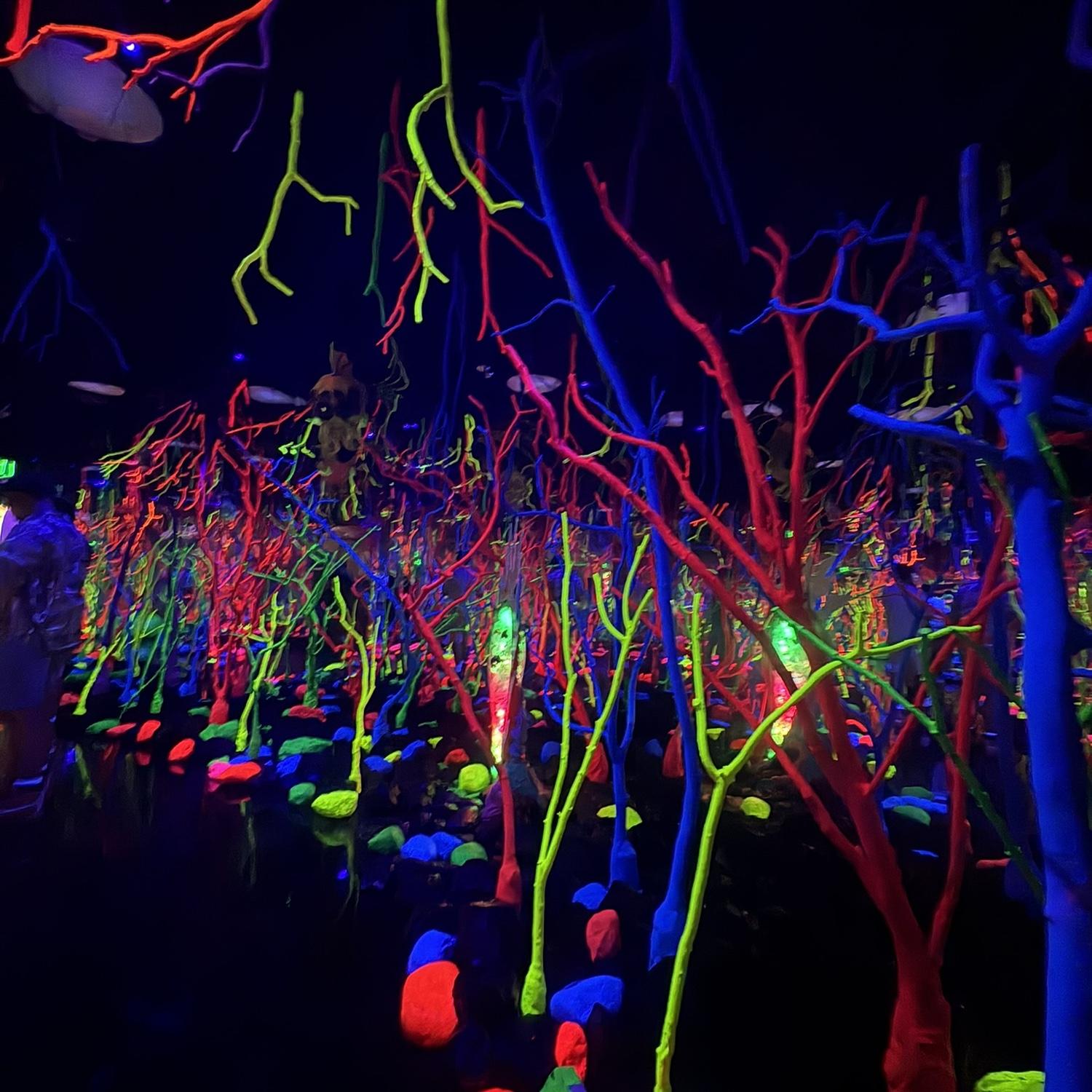 Meow Wolf