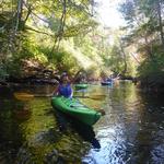 Osprey Sea & Surf Adventures