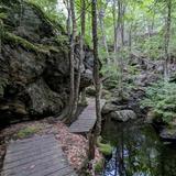 Pulpit Rock Conservation Area