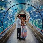 Shark Reef Aquarium at Mandalay Bay